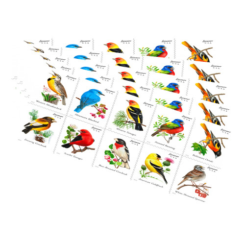 Songbird 2014 - 5 Booklets / 100 Pcs