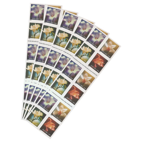  2000 Lilies 34¢ - 5 Booklets / 100 Pcs