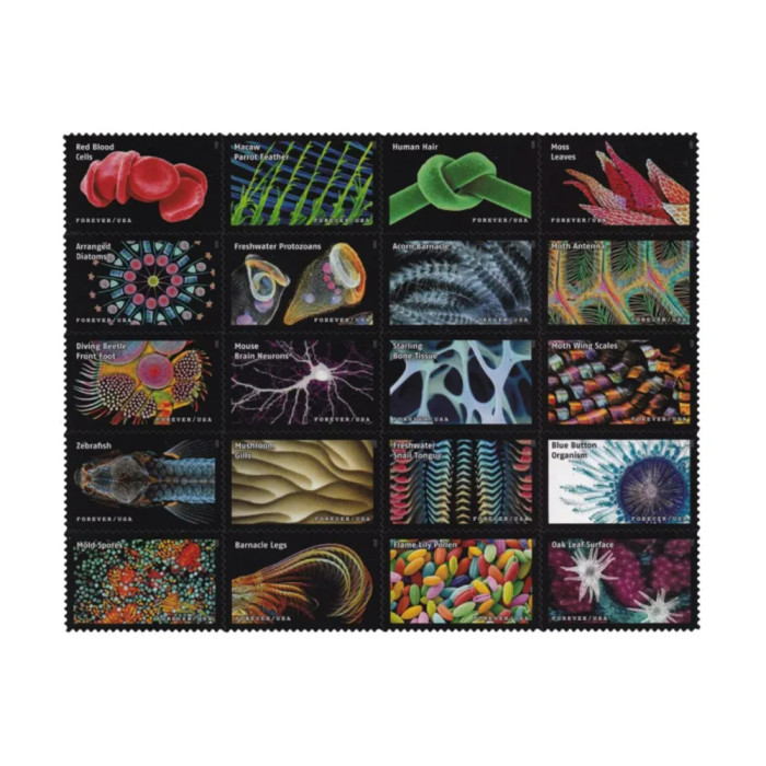 Life Magnified 2023 - 5 Sheets / 100 Pcs