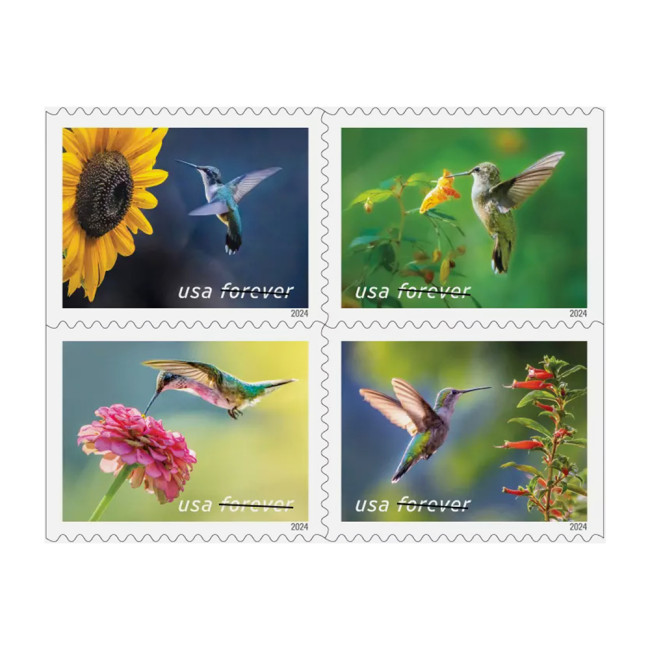 Garden Delights 2024 - 5 Booklets / 100 Pcs