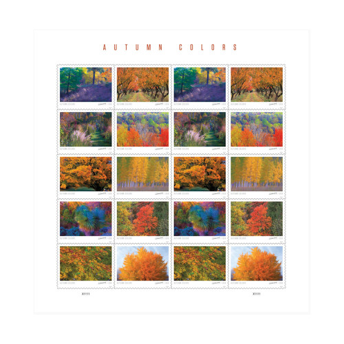 Autumn Color 2024 - 5 Sheets / 100 Pcs