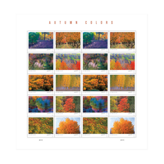 Autumn Color 2024 - 5 Sheets / 100 Pcs