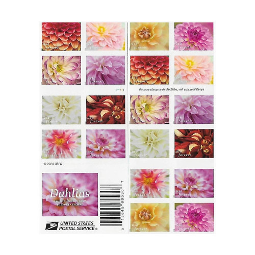 Dahlias 2025 - 5 Booklets / 100 Pcs