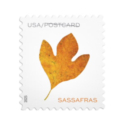 Vibrant Leaves Postcard Rate 2025 - 5 Sheets / 100 Pcs