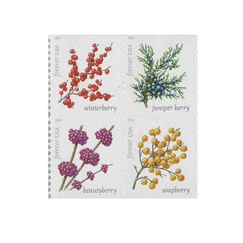Winter Berries 2019 - 5 Booklets / 100 Pcs