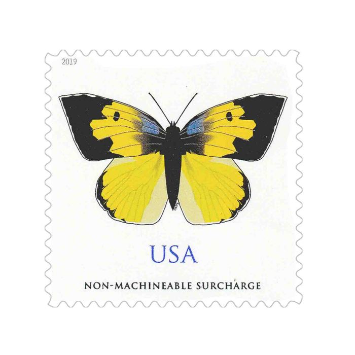California Dogface Butterfly 2019 - 5 Sheets / 100 Pcs