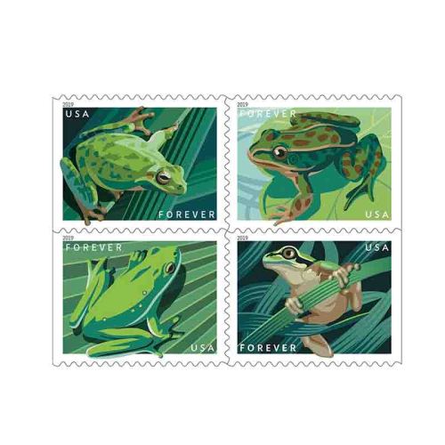 FROGS 2019 - 5 Booklets / 100 Pcs