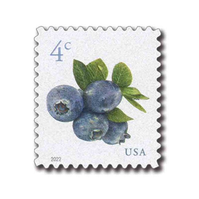 500 Sheets 4c Blueberries 2022（Sheet  of 20 Pcs) - Limited promotional time