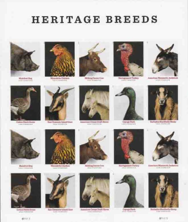 Heritage Breeds 2021 - 5 Sheets / 100 Pcs