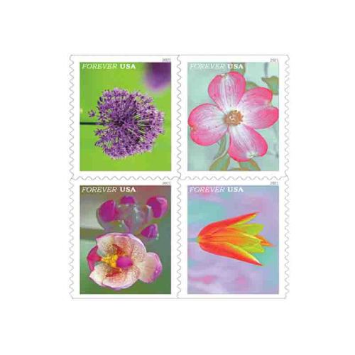 Garden Beauty 2021 - 5 Booklets / 100 Pcs