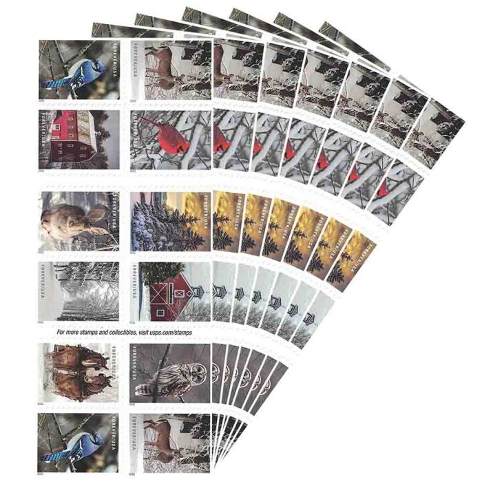 Winter Scenes 2020 - 5 Booklets / 100 Pcs