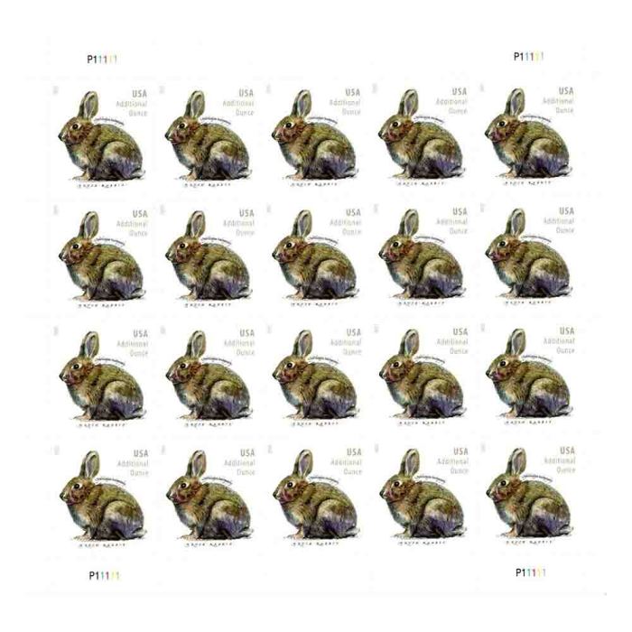 Brush Rabbit 2021 - 5 Sheets Additional Ounces / 100 Pcs