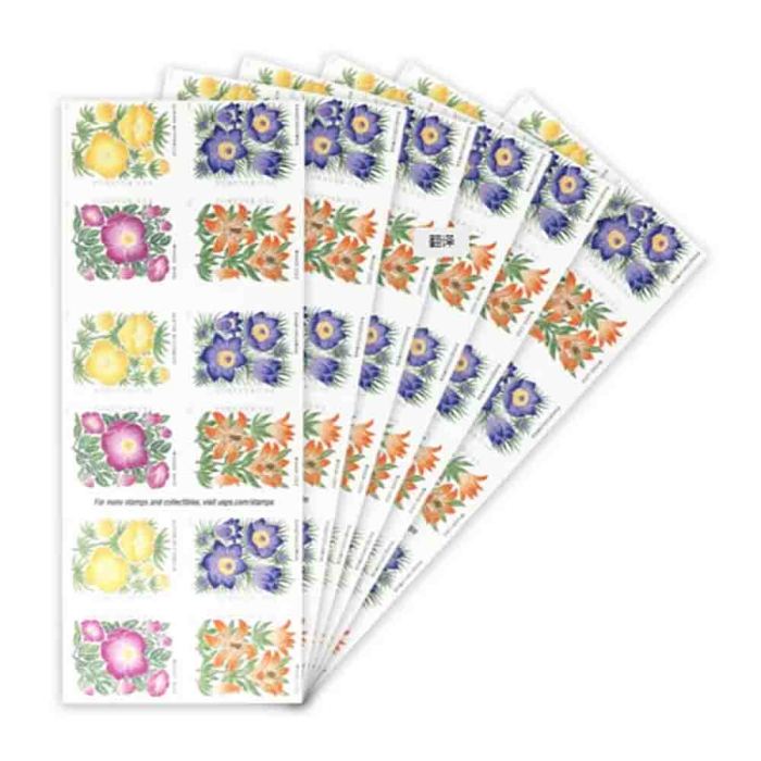 Mountain Flora 2022 - 5 Booklets / 100 Pcs