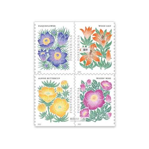 Mountain Flora 2022 - 5 Booklets / 100 Pcs