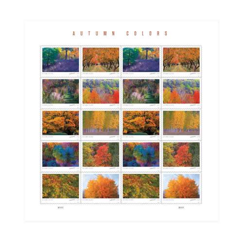 Autumn Color 2024 - 5 Sheets / 100 Pcs