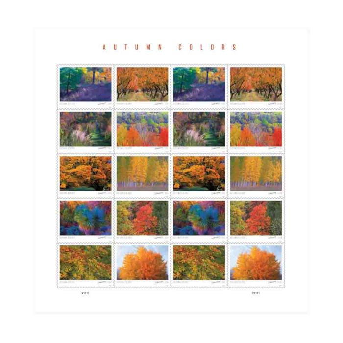 Autumn Color 2024 - 5 Sheets / 100 Pcs