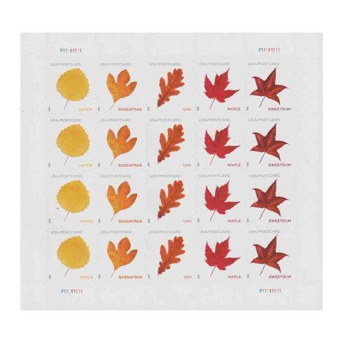 Vibrant Leaves Postcard Rate 2025 - 5 Sheets / 100 Pcs
