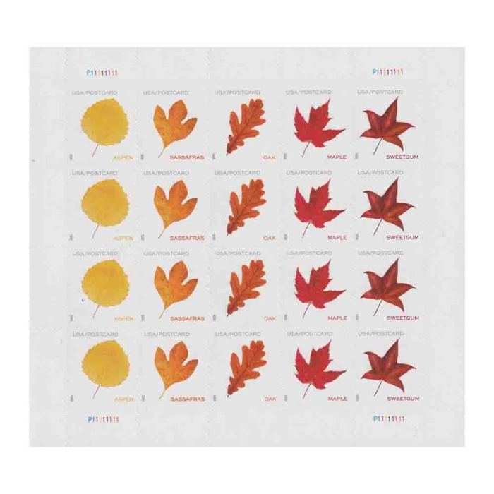 Vibrant Leaves Postcard Rate 2025 - 5 Sheets / 100 Pcs
