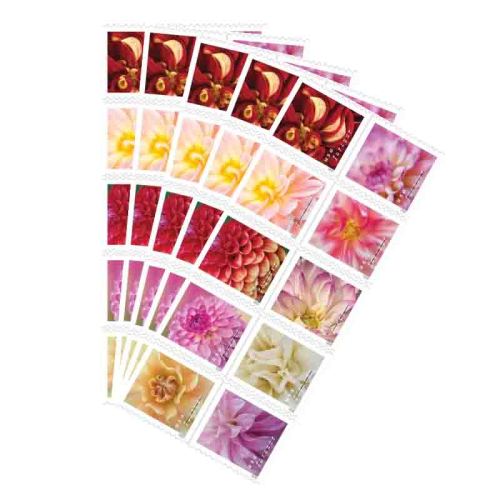 200 Booklets Dahlias 2025（Booklet  of 20 Pcs) - Limited promotional time