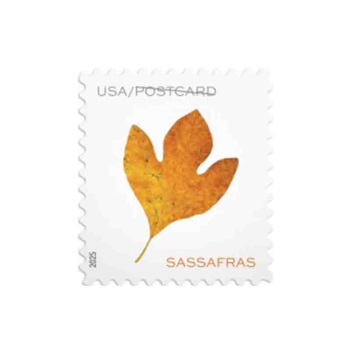 Vibrant Leaves Postcard Rate 2025 - 5 Sheets / 100 Pcs