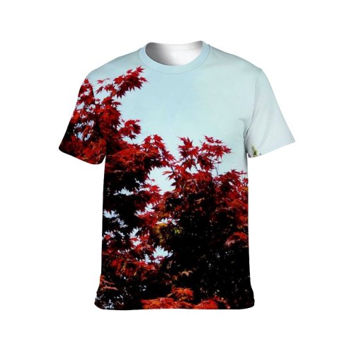 yanfind Adult Full Print Tshirts (men And Women) Autumn Fall Leaves Trees Plants Season