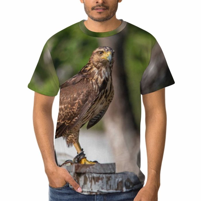 yanfind Adult Full Print T-shirts (men And Women) Wood Bird Eagle Portrait Outdoors Wild Hunter Wildlife Daylight Raptor Falconry