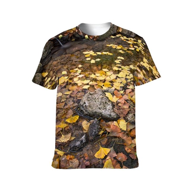 yanfind Adult Full Print Tshirts (men And Women) Fall Fountain Pond Hdr Leaves Leaf Leafs Foliage Rock Rocks Rocky Stone