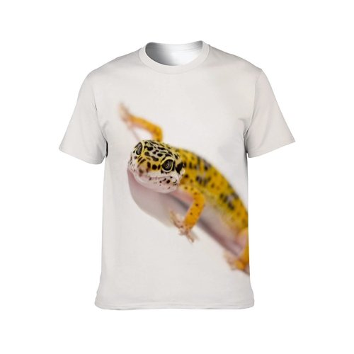 yanfind Adult Full Print T-shirts (men And Women) Pet Wild Tropical Wildlife Little Scale Biology Skin Endangered Species Zoology