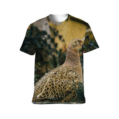 yanfind Adult Full Print T-shirts (men And Women) Portrait Hen Outdoors Wild Wildlife Feather Profile Biology Daylight Poultry