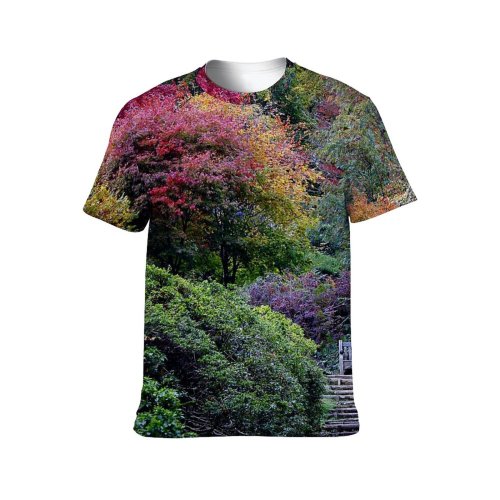 yanfind Adult Full Print Tshirts (men And Women) Autumn Colour Shades Leaves Foliage Season Reds Beautiful Hues Trees Garden