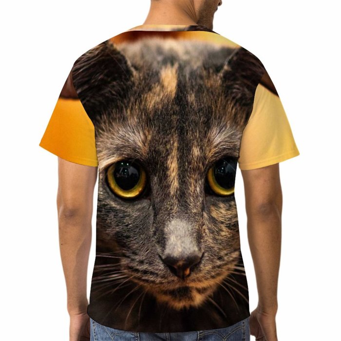 yanfind Adult Full Print Tshirts (men And Women) Images Abyssinian Tortie Cat Stock Pictures Free Pet Kitten Manx