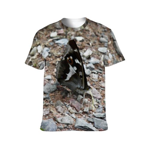 yanfind Adult Full Print Tshirts (men And Women) Apature Beautiful Butterfly Dark Sucking Soil Insect