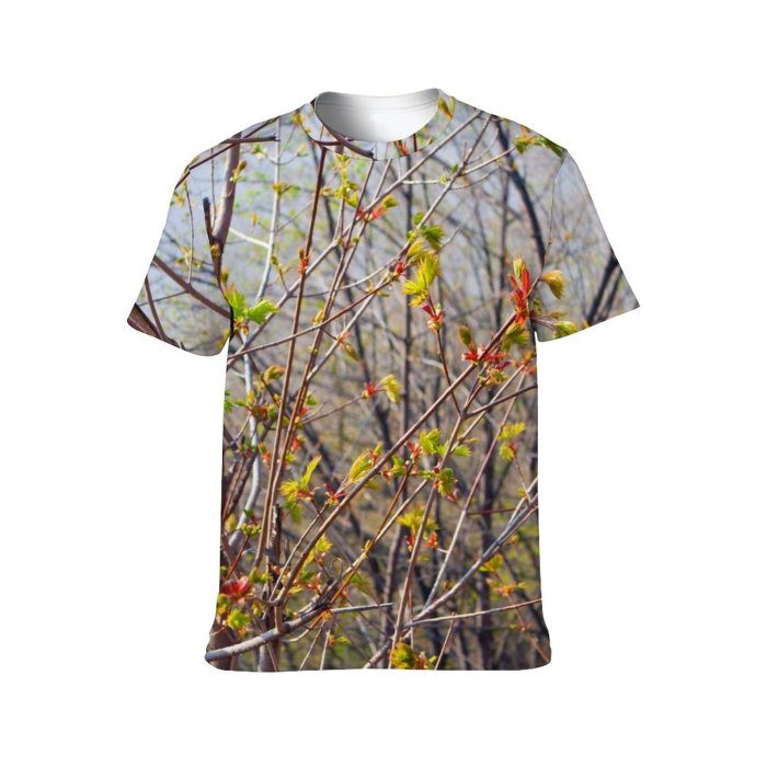 yanfind Adult Full Print Tshirts (men And Women) Autumn Branches Colorful Countryside Foliage Forest Leaves Outdoor Park Tree