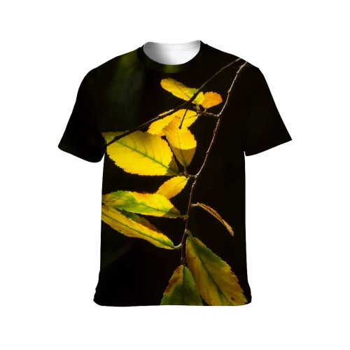 yanfind Adult Full Print Tshirts (men And Women) Leaves Autumn Tree Outside Outdoors