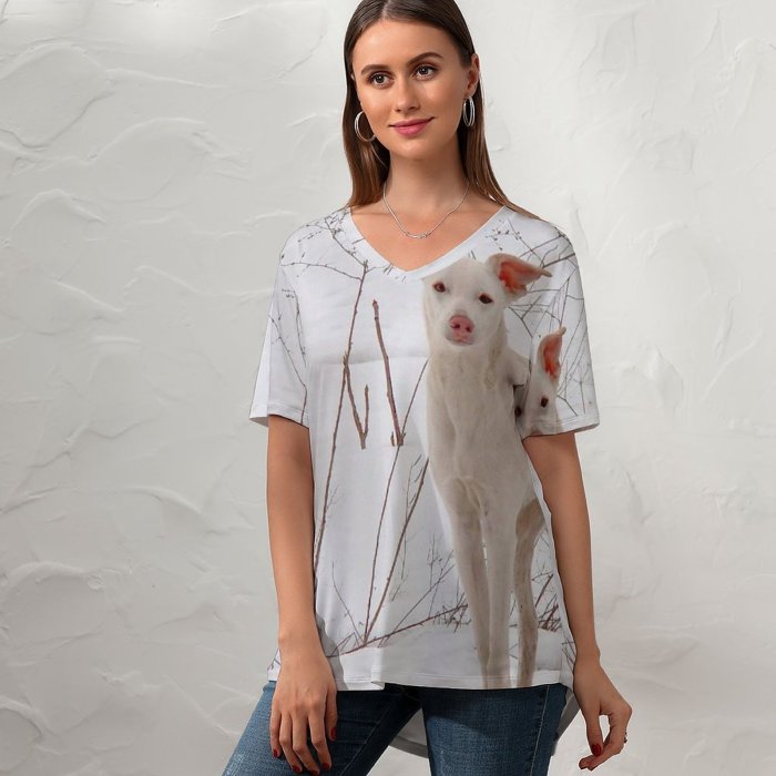 yanfind V Neck T-shirt for Women Kryvyi Region Pet Last Wool Year's Dry Dnipropetrovsk Snow Grass Wallpapers Summer Top  Short Sleeve Casual Loose
