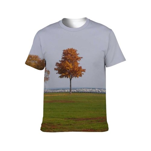 yanfind Adult Full Print Tshirts (men And Women) Autumn Changing Fall Trees Landscape Field Grass