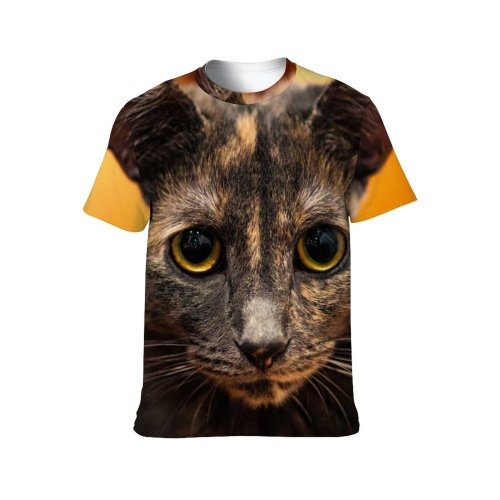 yanfind Adult Full Print Tshirts (men And Women) Images Abyssinian Tortie Cat Stock Pictures Free Pet Kitten Manx