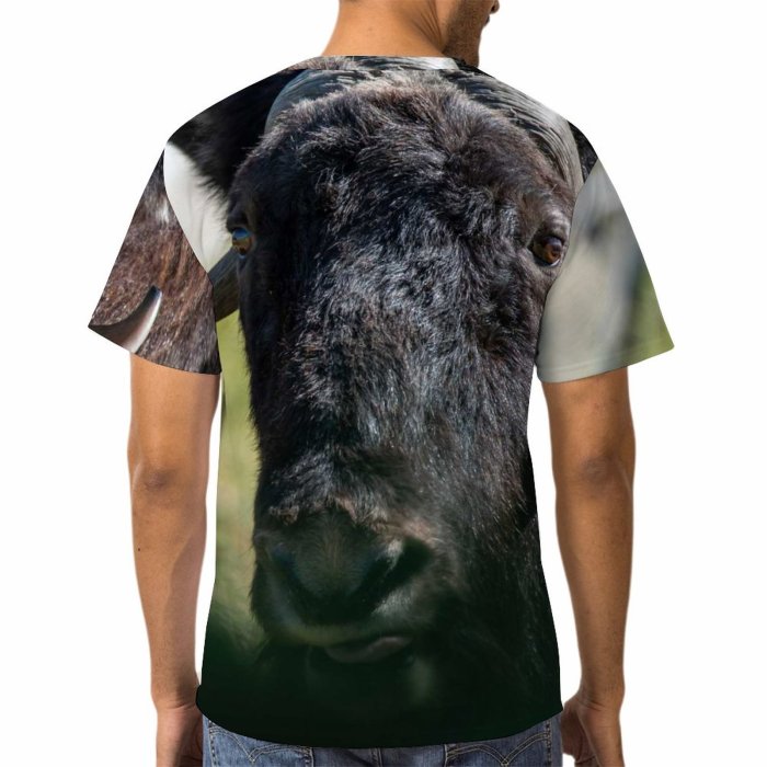 yanfind Adult Full Print T-shirts (men And Women) Grass Fur Portrait Strong Wild Bull Cow Wildlife Horn Bison Cattle