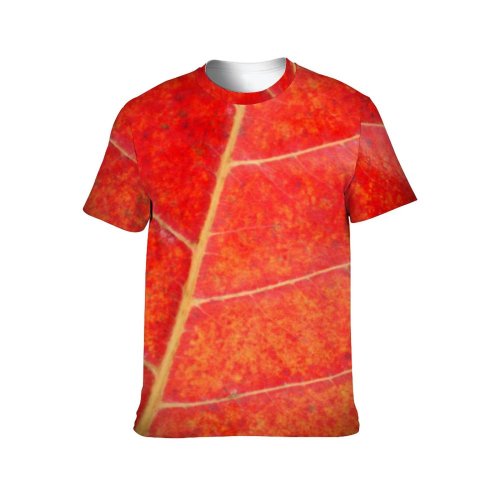 yanfind Adult Full Print Tshirts (men And Women) Leaf Closeup Macro Vignette Dark Veins Autumn Texture Backdrop
