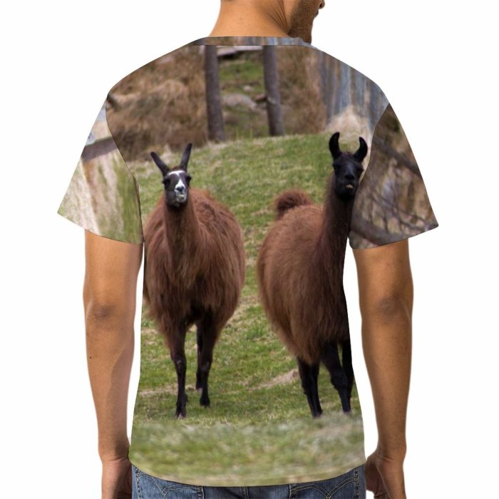 yanfind Adult Full Print Tshirts (men And Women) Alpaca Llama Peru Peruvian Southamerica Southamerican Wool Camelid Fur Furry Lama Field