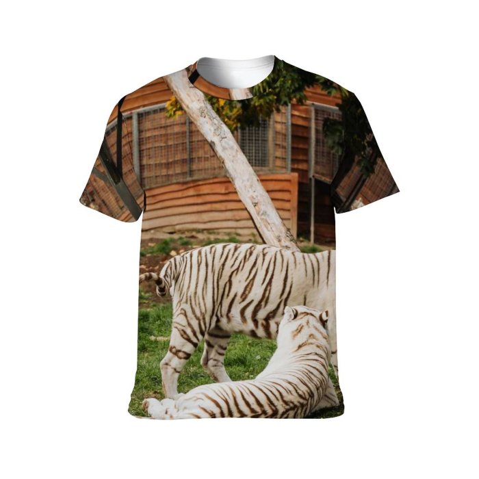 yanfind Adult Full Print T-shirts (men And Women) Wood Summer Grass Leaf Tree Fur Cat Outdoors Wild Family Wildlife