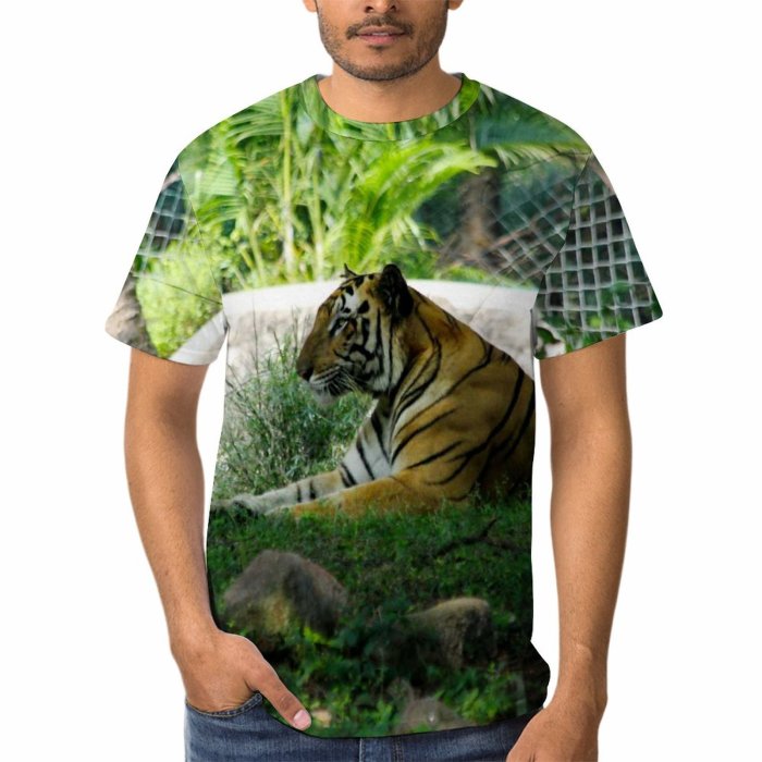yanfind Adult Full Print T-shirts (men And Women) Grass Tree Big Fur Cat Wild Hunter Jungle Safari Wildlife Danger