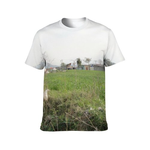 yanfind Adult Full Print T-shirts (men And Women) Landscape Trees Field Grass Houses Straws