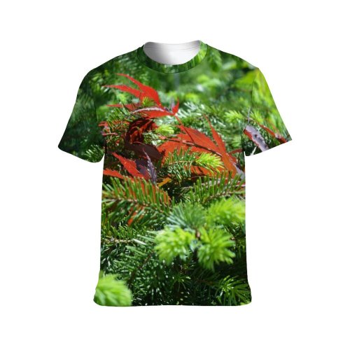 yanfind Adult Full Print Tshirts (men And Women) Maple Leaves Leaf Leafs Purple Spruce Branch Branches Needles Colorful Autumn Beautiful