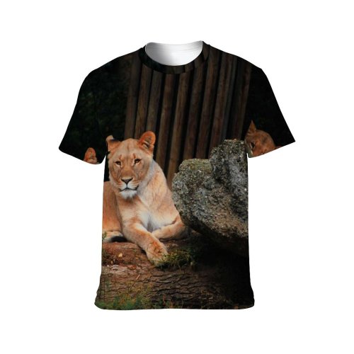 yanfind Adult Full Print T-shirts (men And Women) Tree Fur Portrait Lion Cat Wild Hunter Safari Wildlife