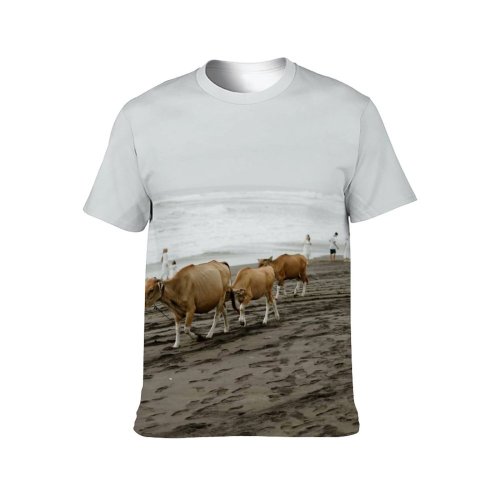 yanfind Adult Full Print T-shirts (men And Women) Sea Landscape Beach Sand Ocean Summer Travel Seashore Outdoors Bull Cow