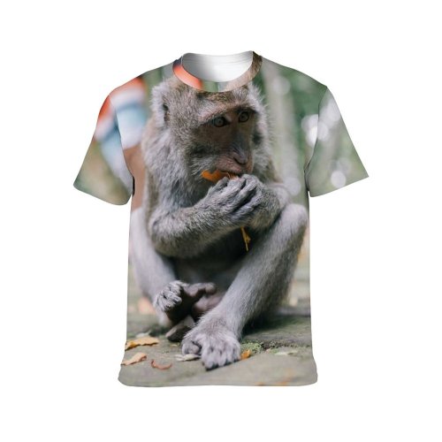 yanfind Adult Full Print T-shirts (men And Women) Wood Cute Park Tree Fur Portrait Monkey Outdoors Wild Wildlife