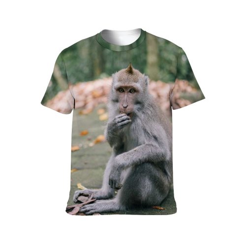 yanfind Adult Full Print T-shirts (men And Women) Wood Cute Park Tree Fall Portrait Monkey Outdoors Wild Wildlife