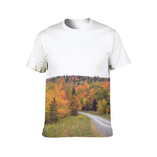 yanfind Adult Full Print Tshirts (men And Women) Fall Country Landscape Road
