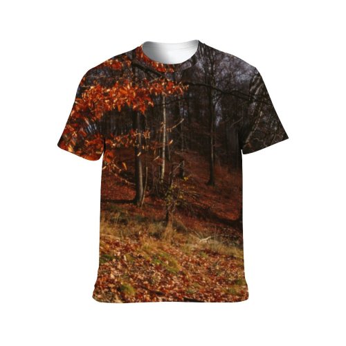 yanfind Adult Full Print T-shirts (men And Women) Landscape Trees Woods Autumn Leaves Branches